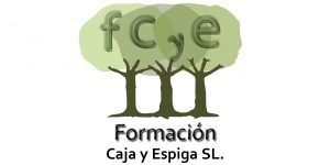 fcye_logo